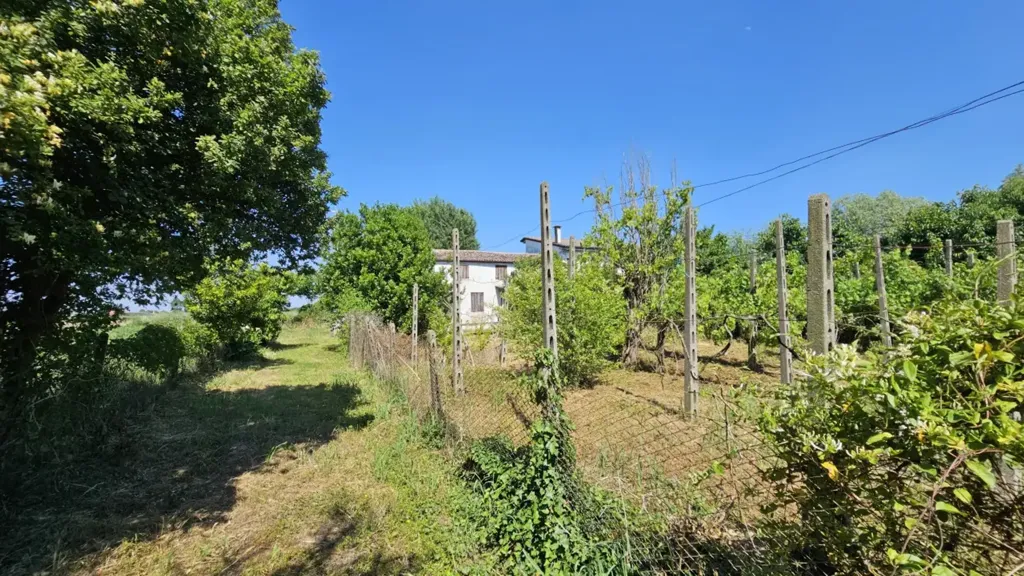 Aed - Rustic Property with Garden in Urbana
