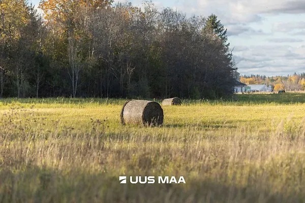 Jardin - Terrain à Lääne-Harju vald