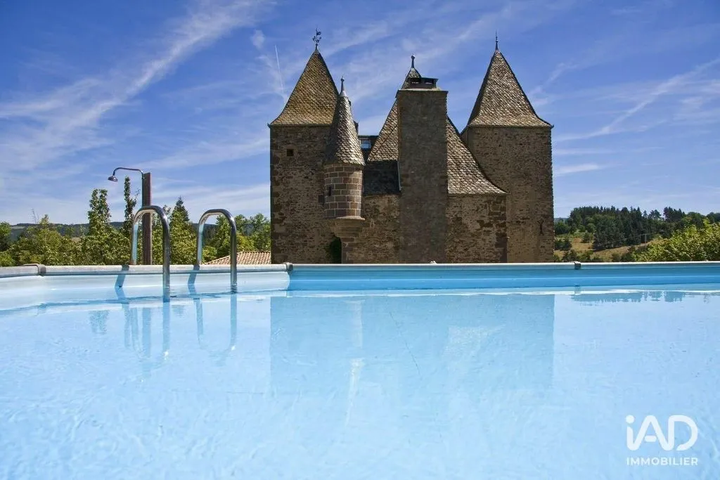 Bassein - Historic Château with Swimming Pool near Saint-Flour