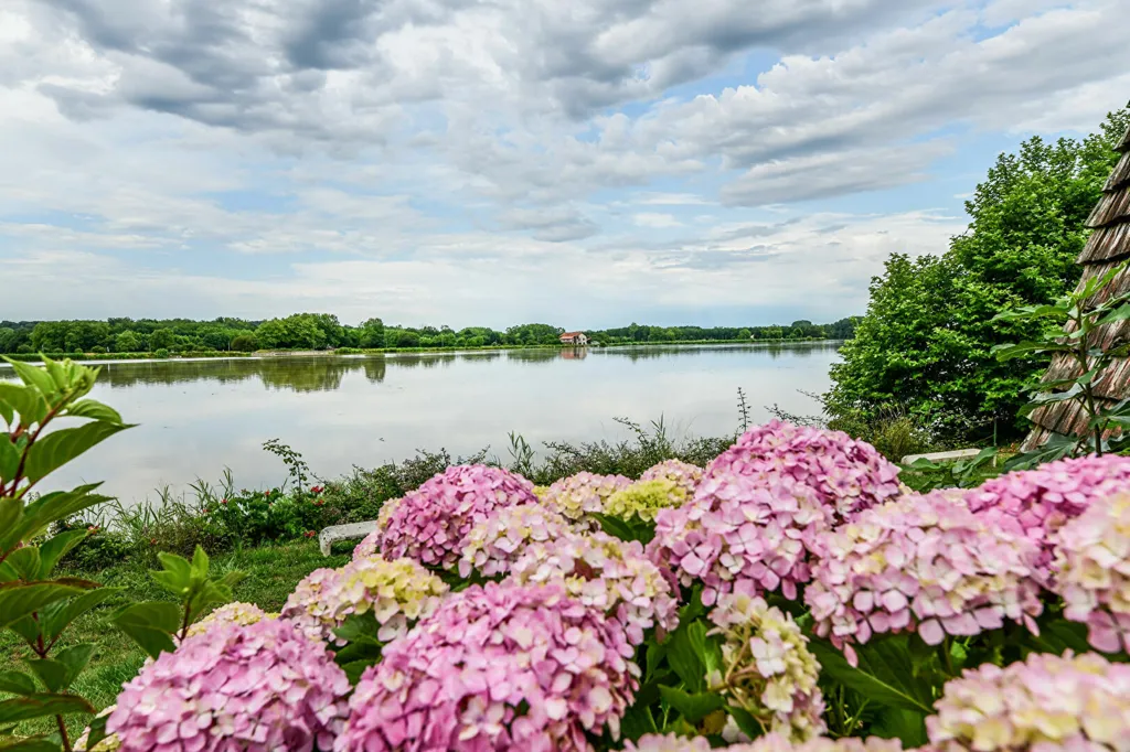 Architectural Villa with River View in Lahonce