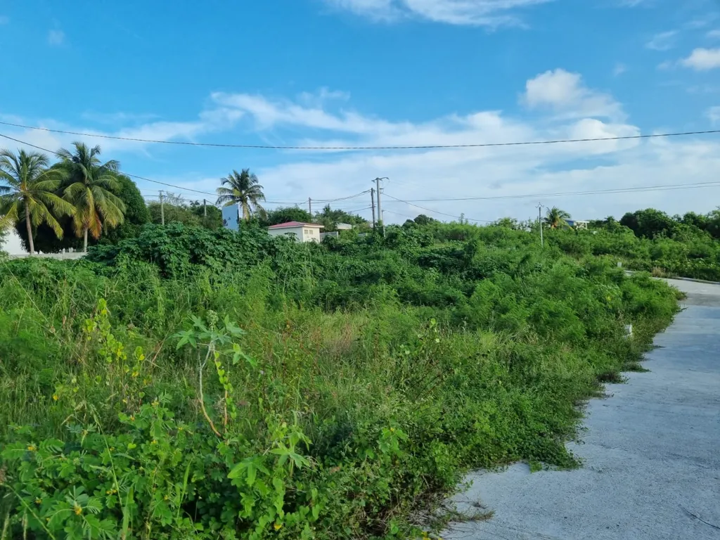 Jardin - Terrain Viabilisé dans Lotissement à Saint-François
