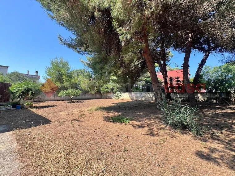 Giardino - Villa with Private Garden in Pulsano