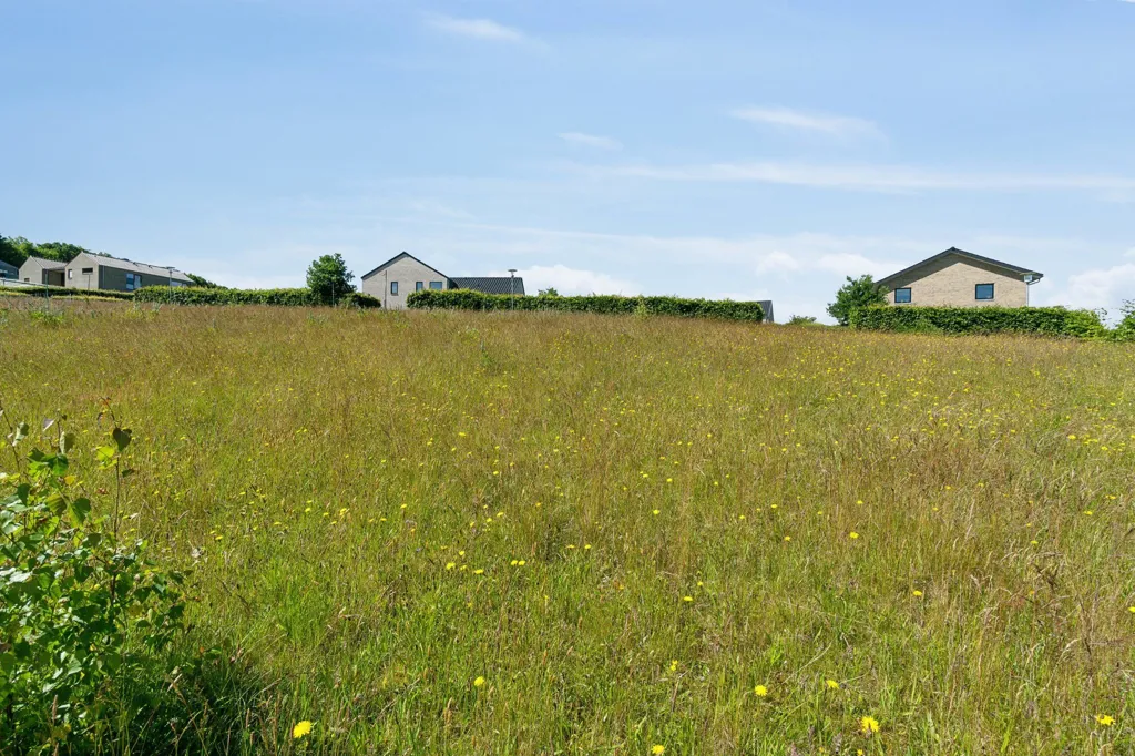 Jardin - Year-Round Plot with 5G Coverage in Mariager