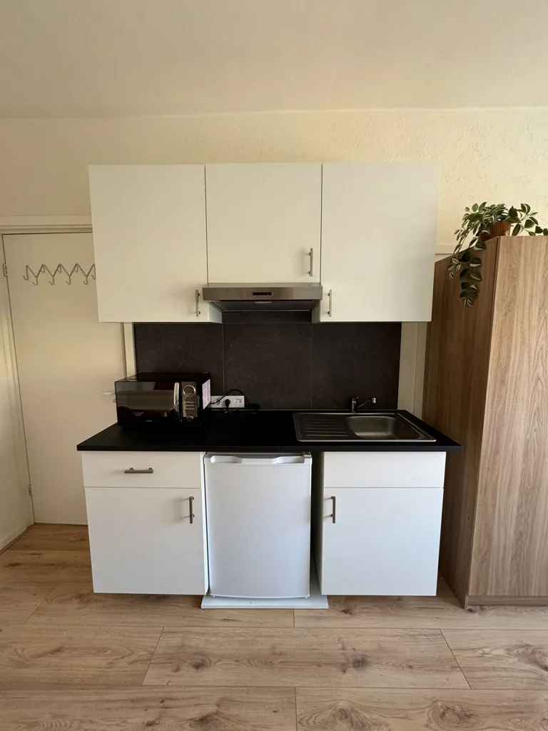 Cucina - Studio with Kitchenette in The Hague