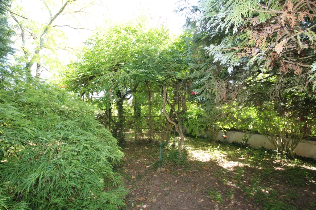 Jardin - Maison du 19ème Siècle avec Parc à Champvert