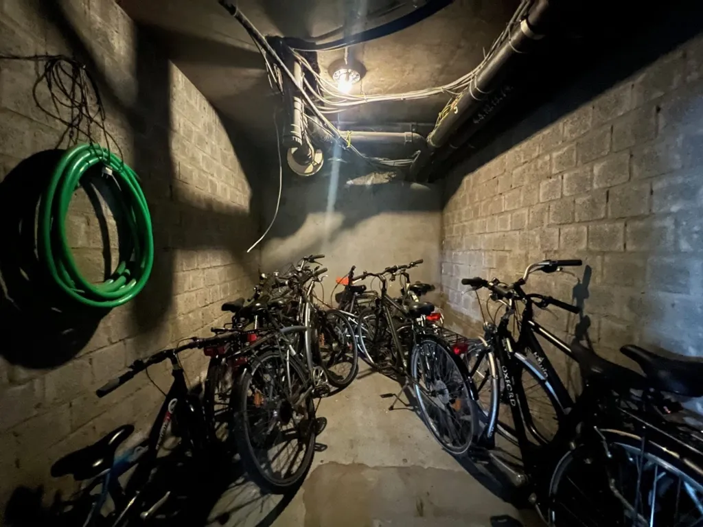cellar