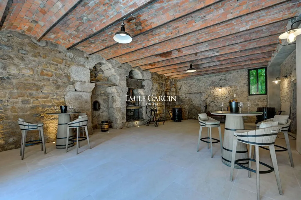 Toad - Luxury Villa with Pool in Cotignac