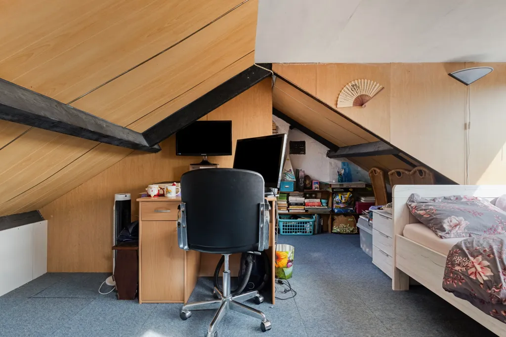 Toad - Renovatable Corner House with Garden in Goes