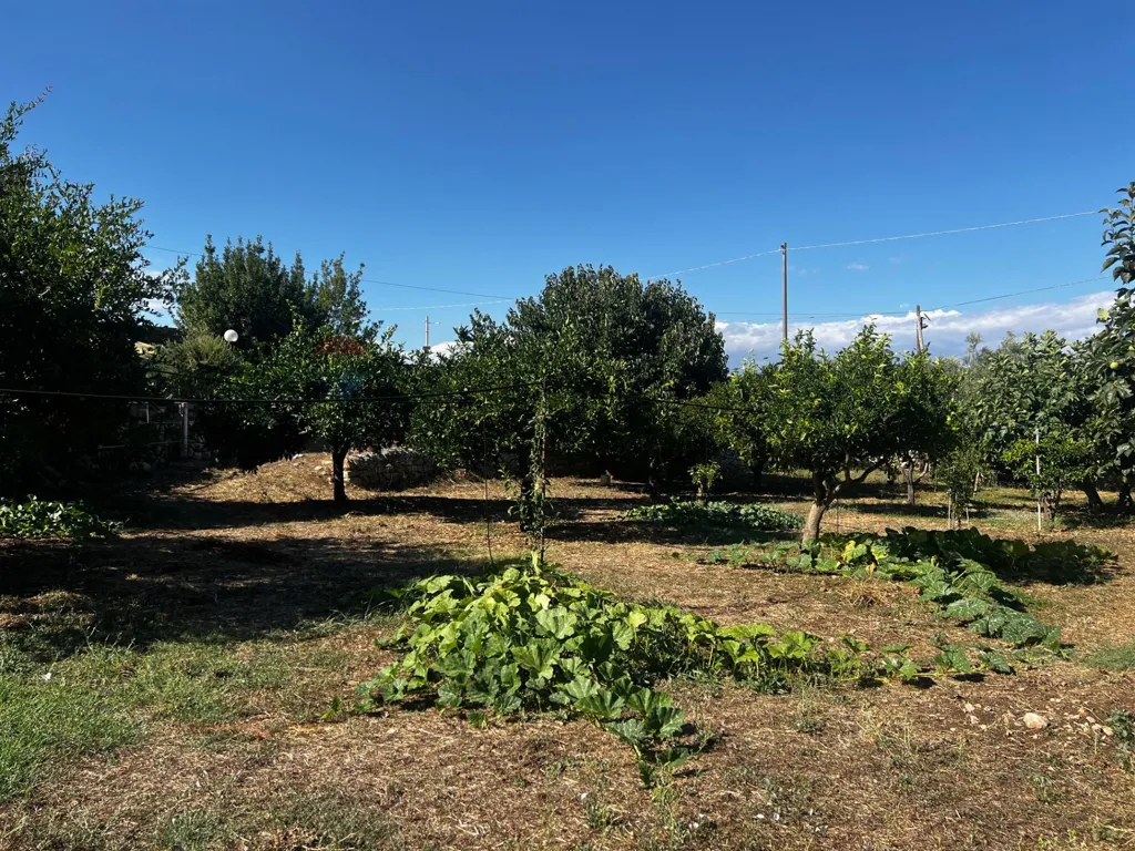 Giardino - Independent Villa with Large Garden in Modica