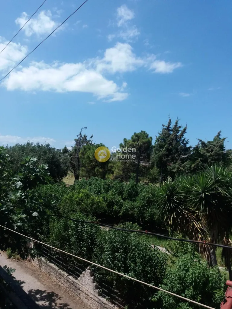 Jardin - Mixed-Use Building with Sea View in Patras