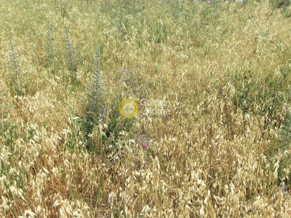 Giardino - Agricultural Plot with Unobstructed View in Thermiakos