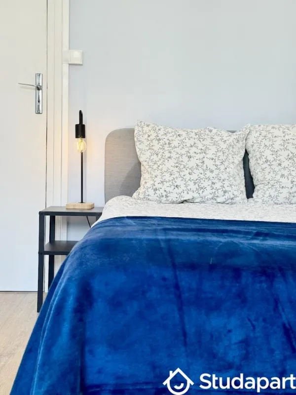 Magamistoad - Shared Flat with Terrace in Grenoble