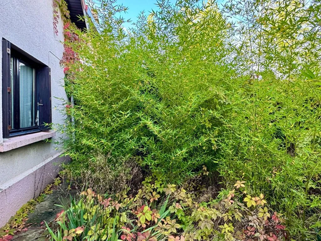 Jardin - Maison avec Terrain Constructible à Chassieu