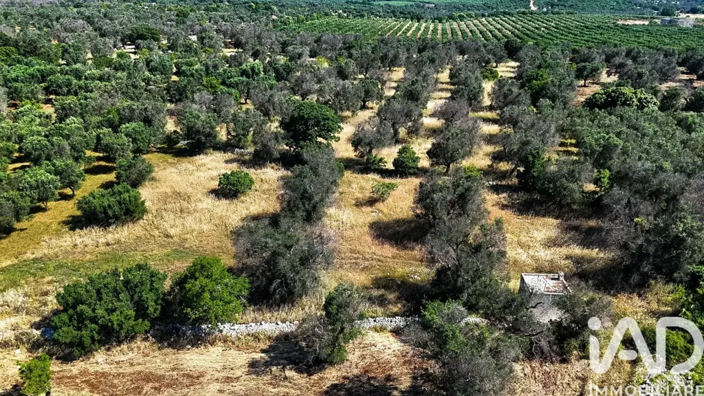 Õhuvaade - Trulli with Approved Villa Project in Carovigno