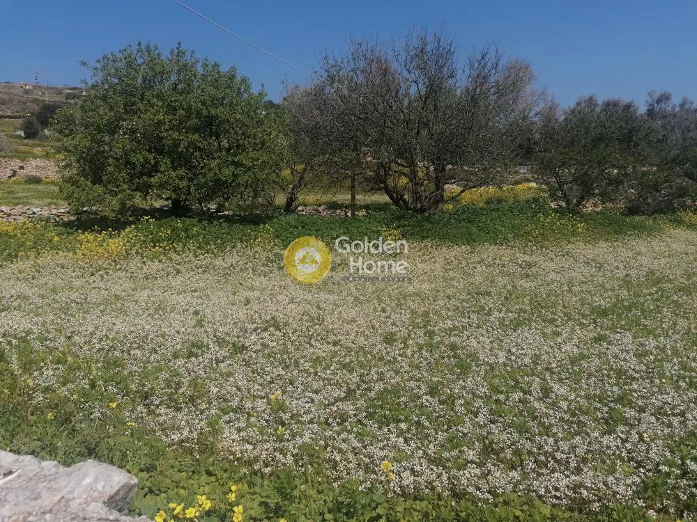 Aed - Plot with Unrestricted View in Syros - Piskopi
