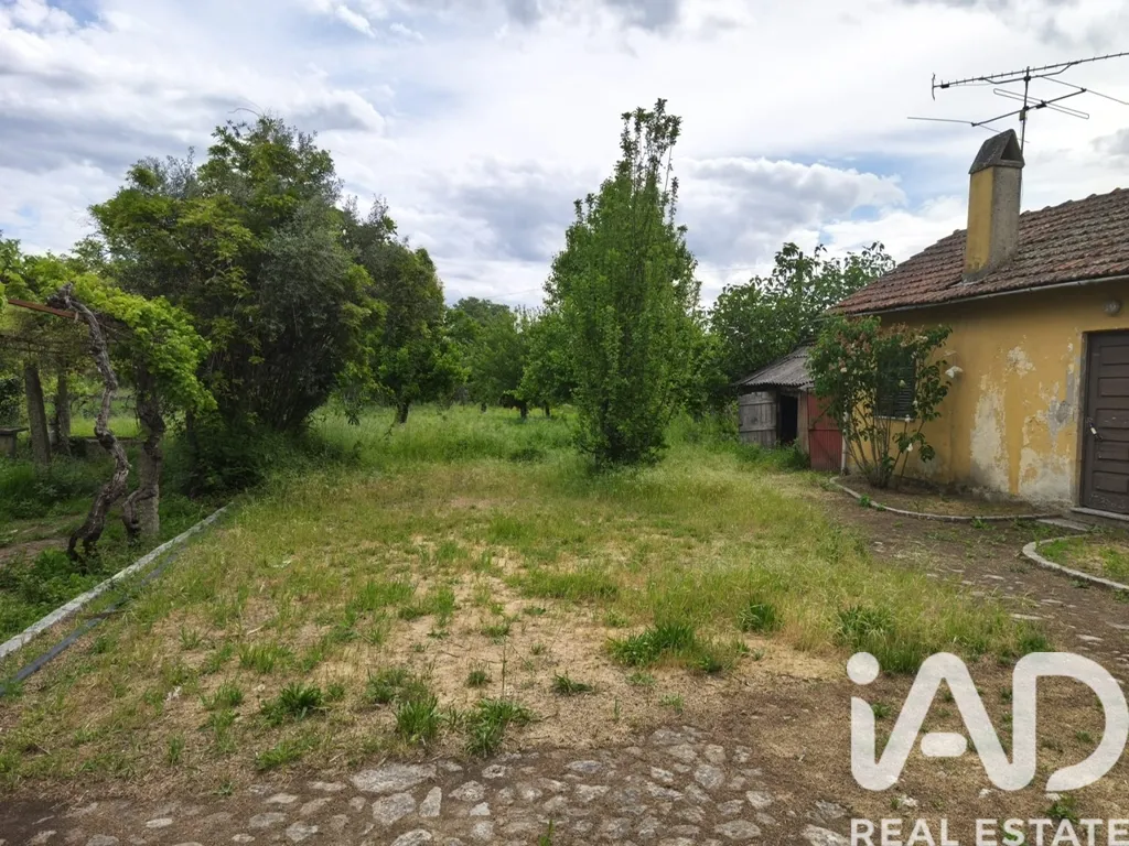Aed - Quinta with Potential in Central Viseu