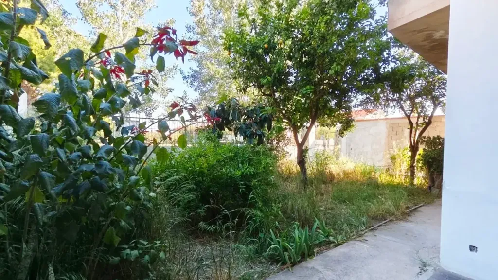 Jardín - Semi-Independent House with Garden in Selargius