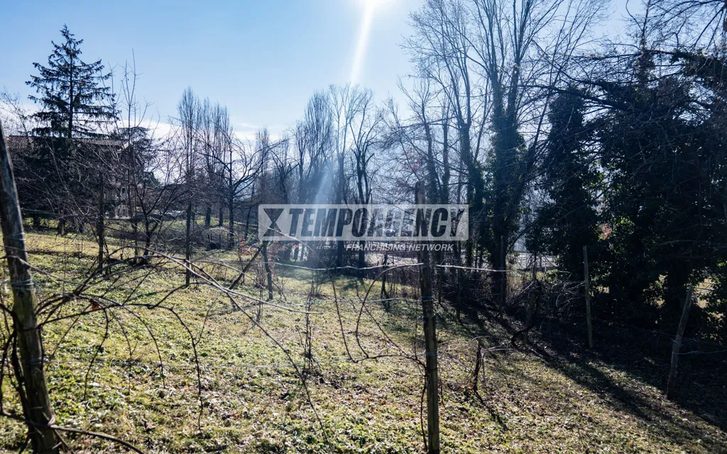 Aed - Multi-Level Warehouse with Land in Riccò