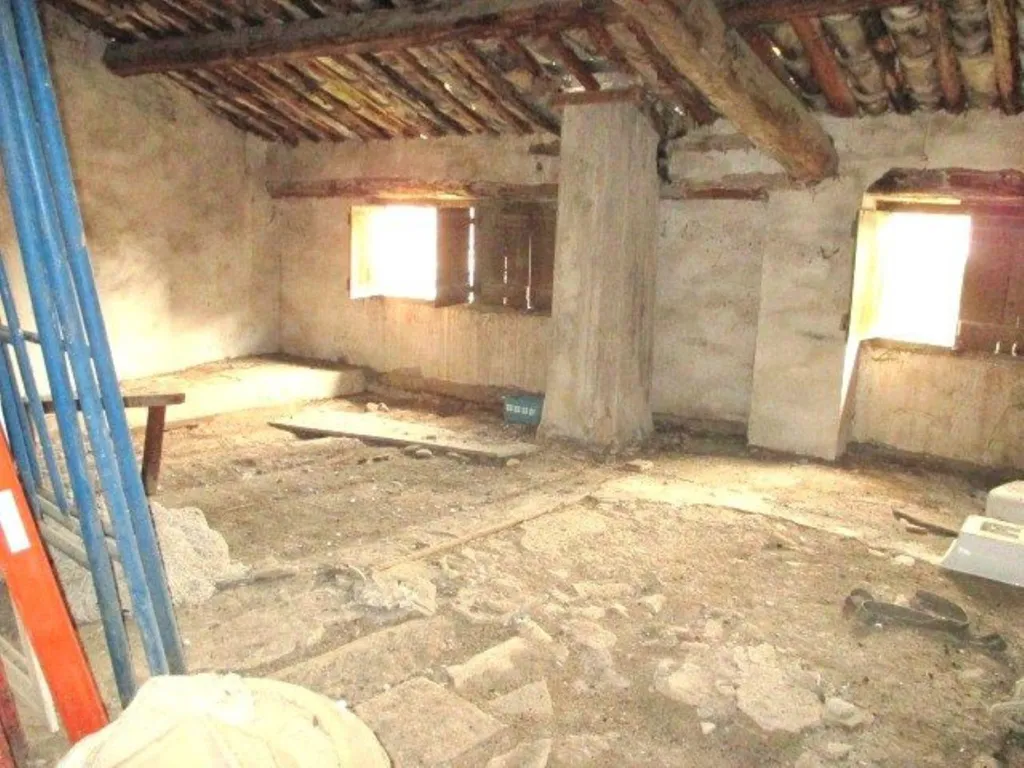 Toad - Historic Town House with Stables in Abizanda-Naval