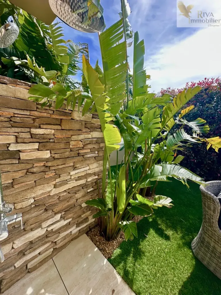 Jardin - Villa avec piscine et jardin à Sanary-sur-Mer