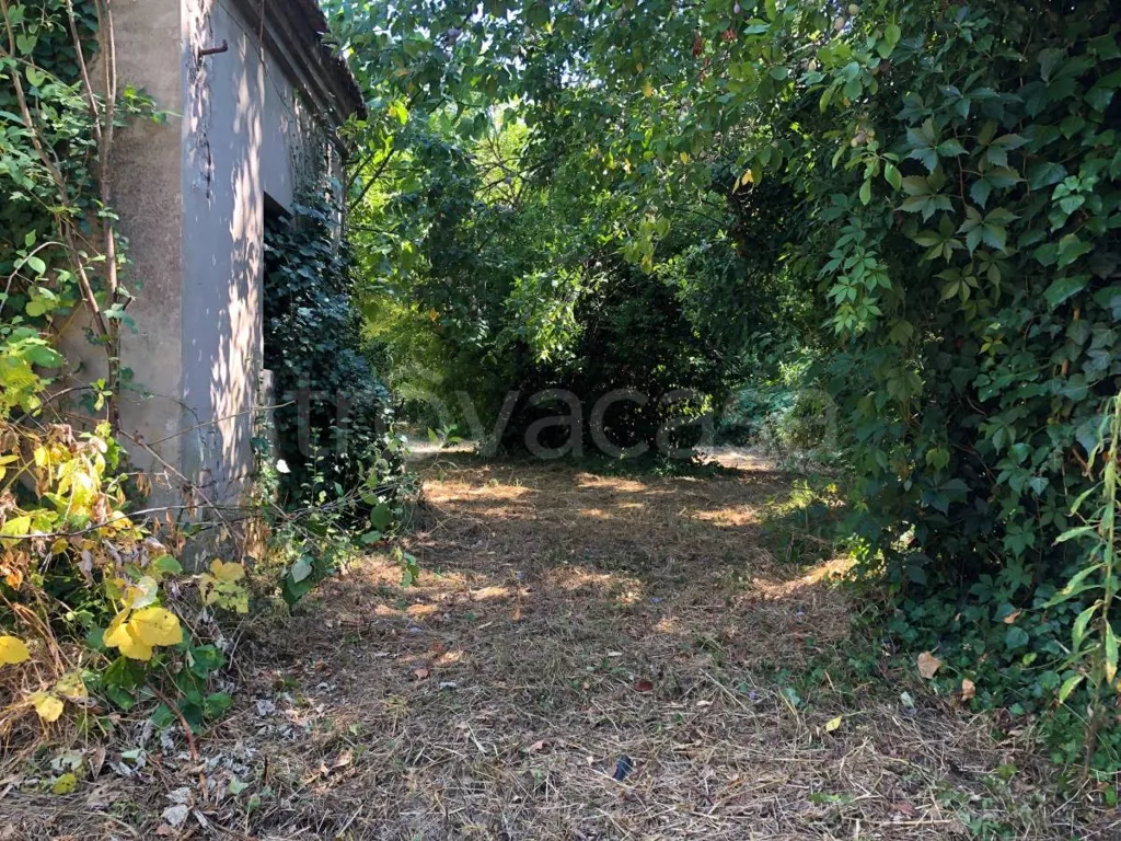 Aed - Independent House with Garden in Voghiera