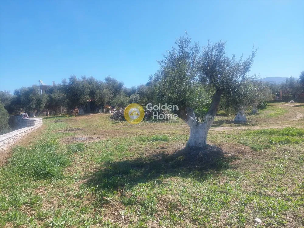 Aed - Buildable Plot with Sea View in Nea Acharnes