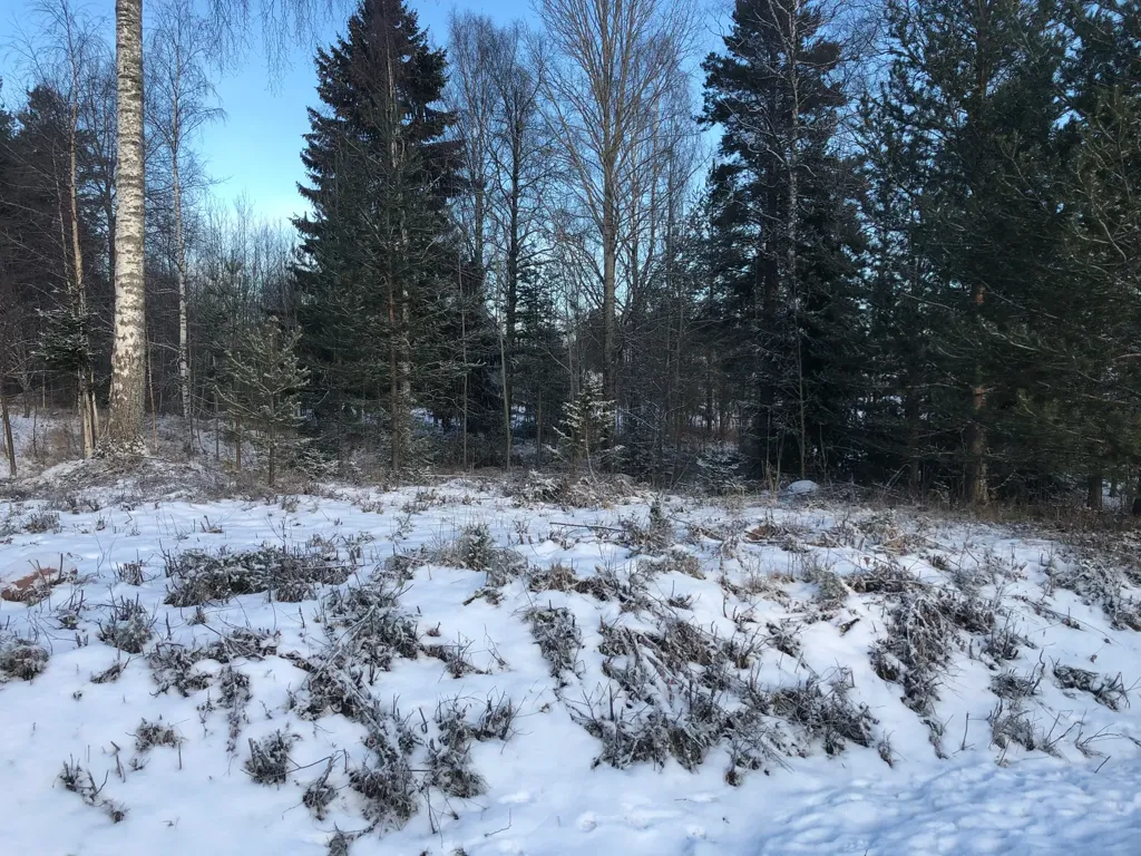 Aed - Plot for House Construction in Våmhus