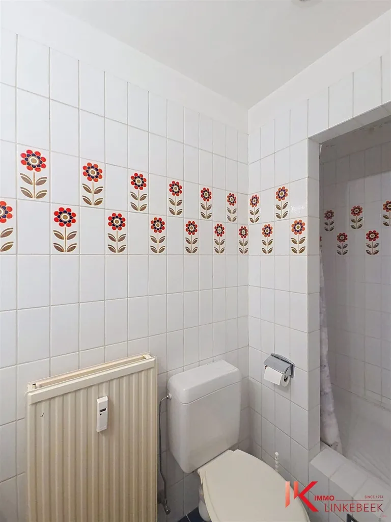 Vannitoad - 3-Bedroom Apartment with Terraces in Uccle