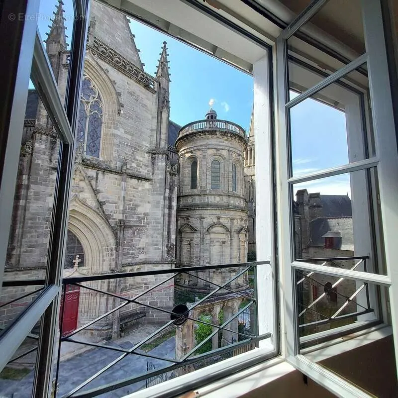 Toad - Characterful Investment Property in Vannes Centre