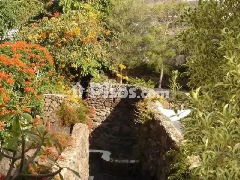 Jardin - Chalet with Traditional Canarian Style in Lanzarote