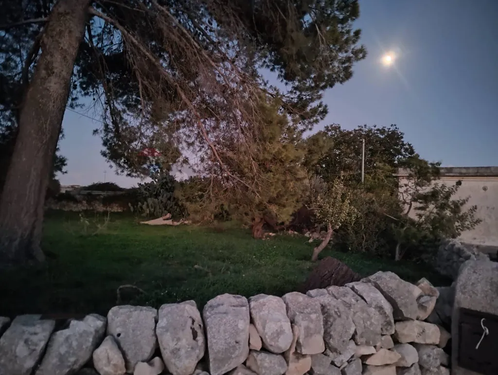 Jardin - Independent House with Orchard in Modica