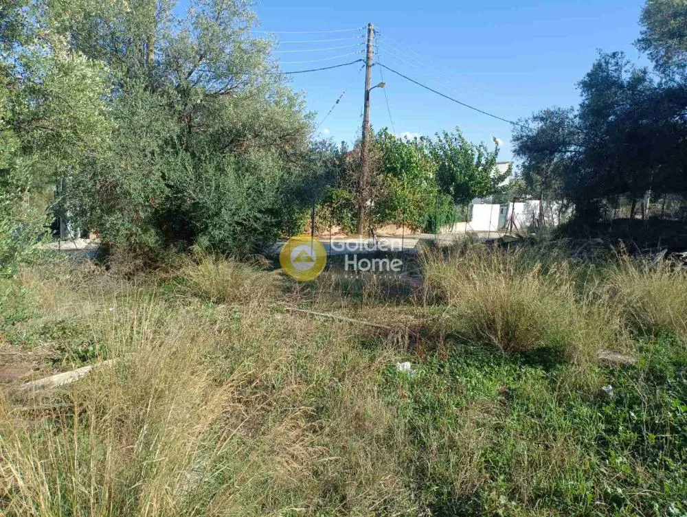 Aed - Corner Plot with Unobstructed View in Paiania Centre