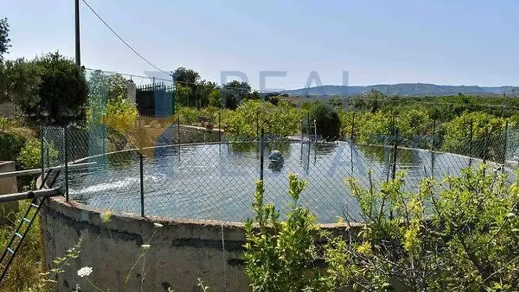 Jardin - Villa with Lemon Grove near Noto
