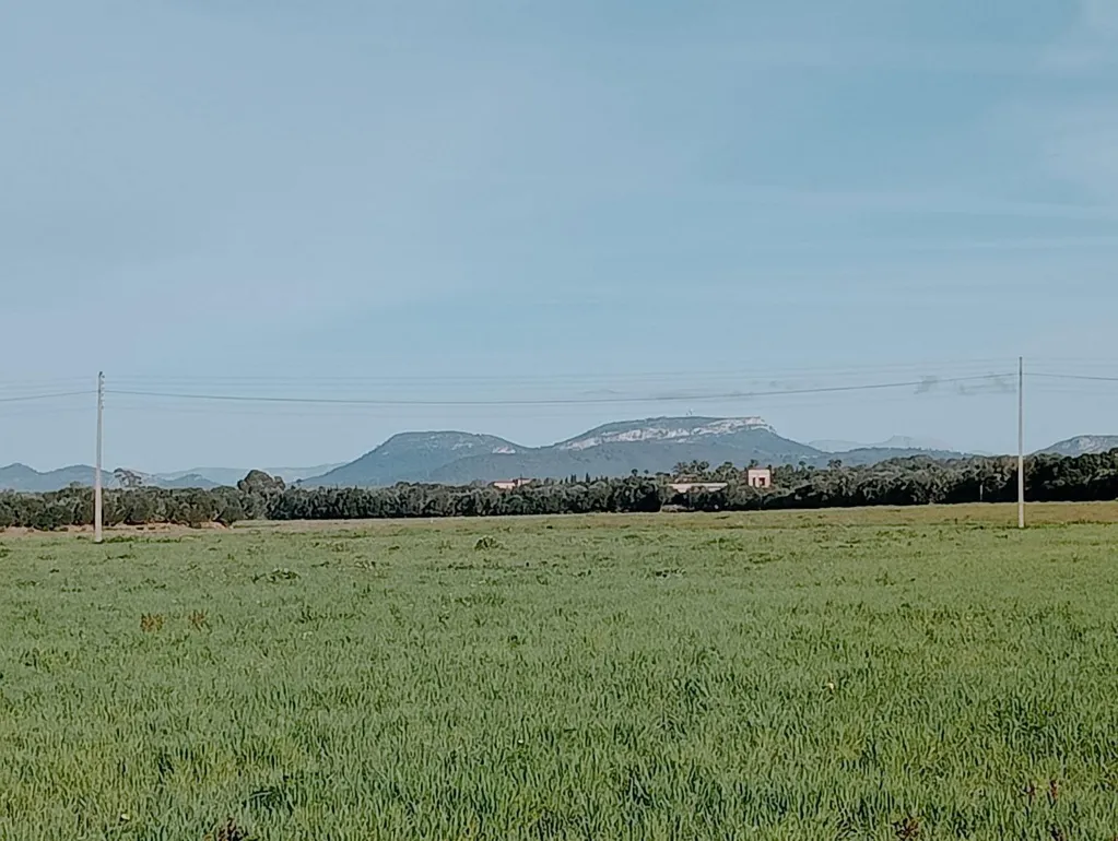 Land with Villa Project in Campos, Mallorca