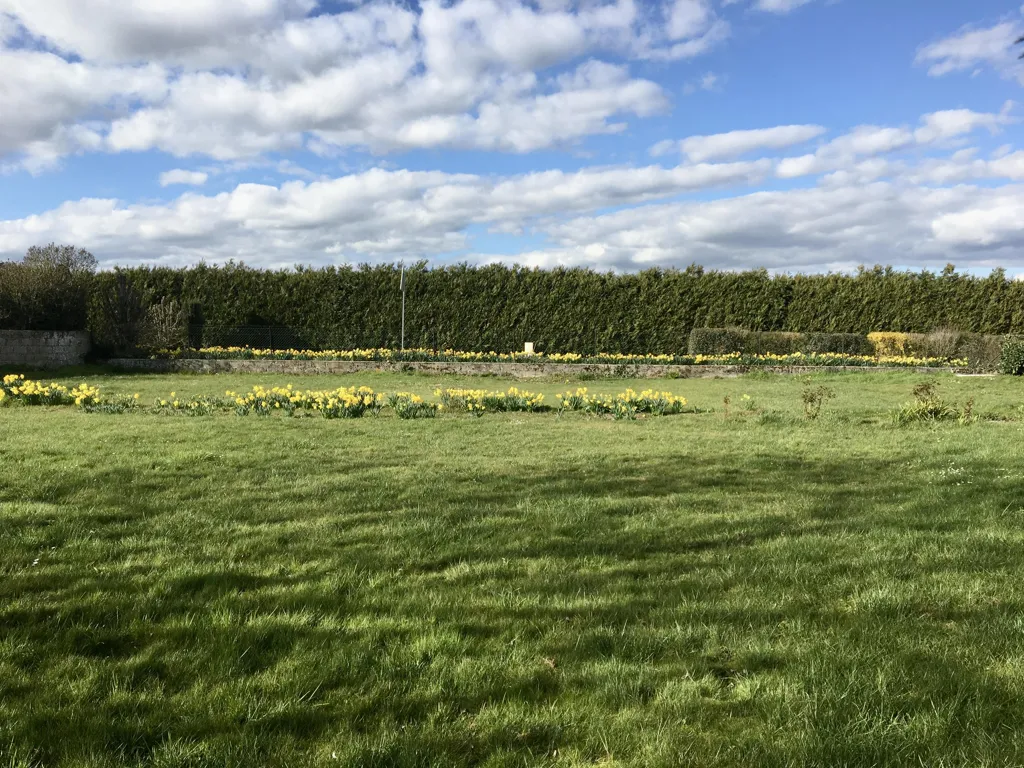 Jardin - Terrain Constructible avec Vue Campagne à Hangest-en-Santerre