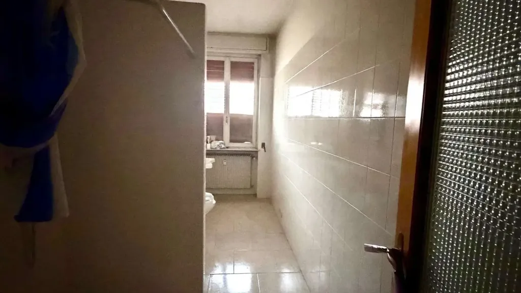Vannitoad - Spacious Apartment with Balconies in Piacenza