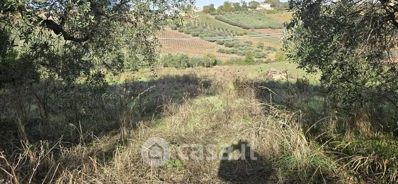Jardin - Rustic Casale with Panoramic View in Villalfonsina