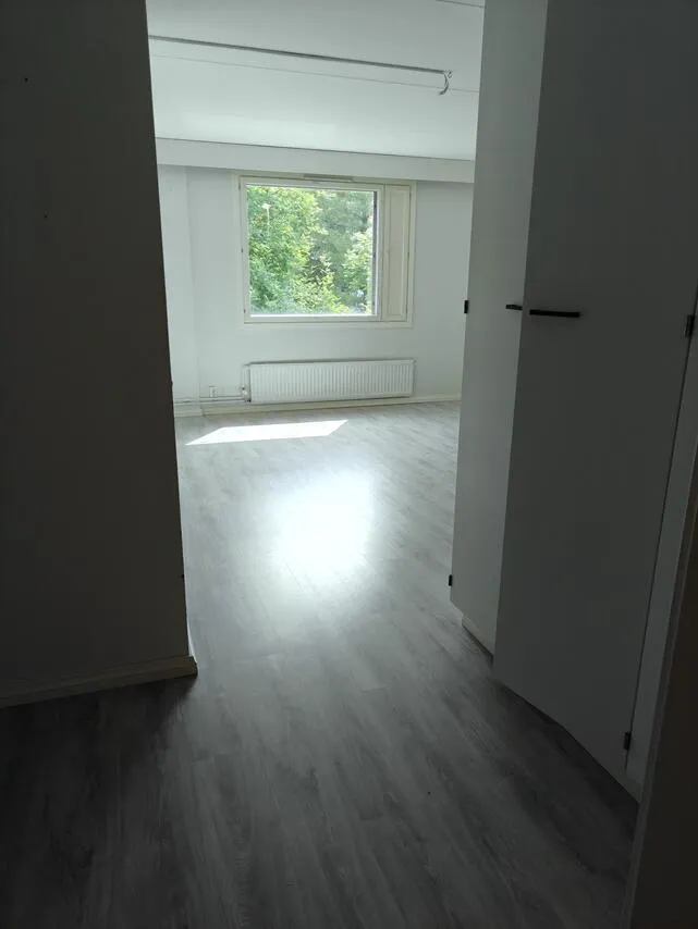 Toad - One-Bedroom Flat with Balcony in Harjavalta