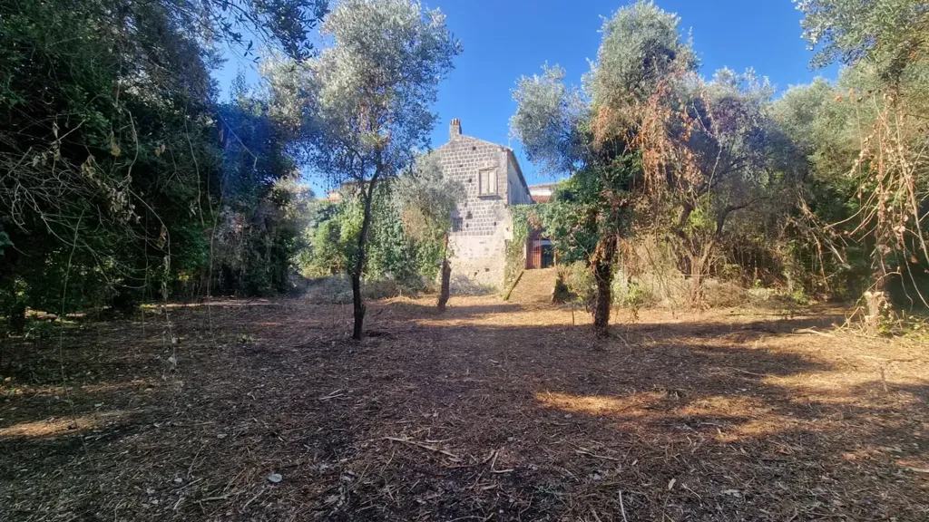 Jardin - Historic Home with Terraces in Alvignano