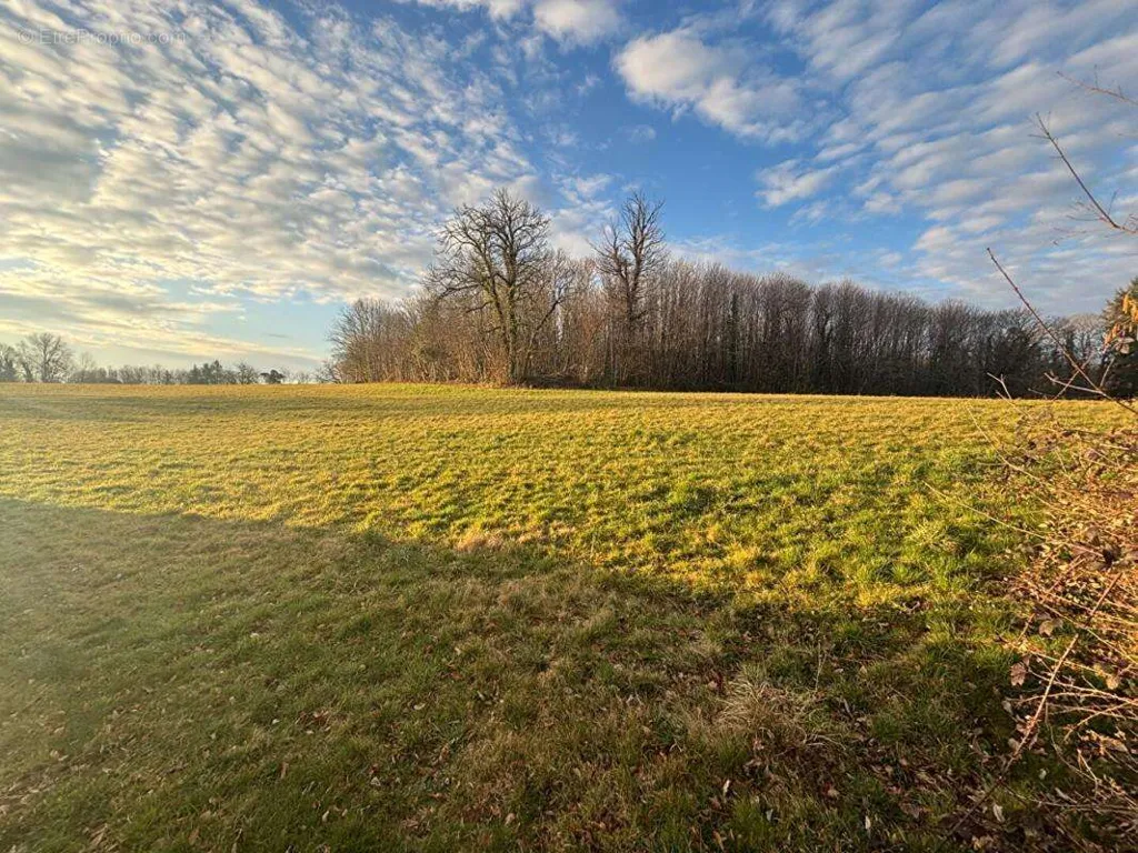 Jardin - Terrain Centre-Ville à Limoges pour Projet Immobilier