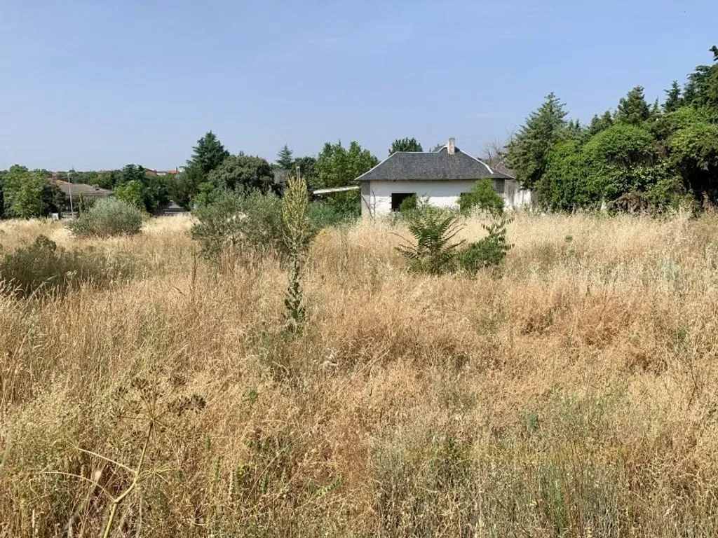 Garden - Urban Development Land near UCM, Colmenarejo