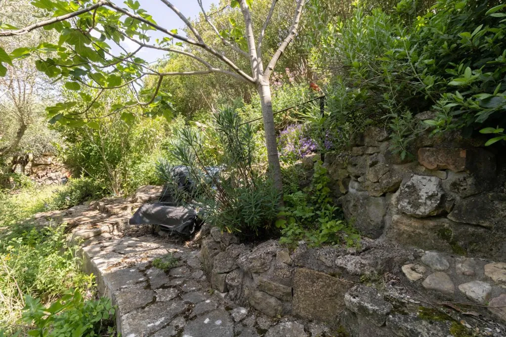 Aed - Stone House with Valley View in Lascours