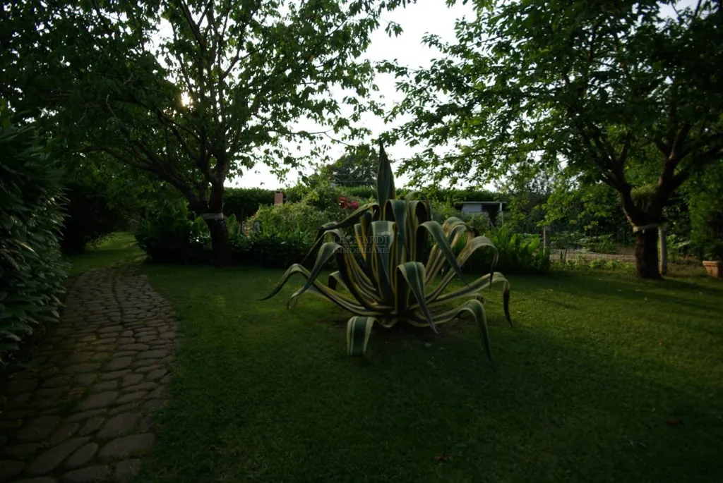 Jardin - Contemporary Villa with Garden in San Giustino