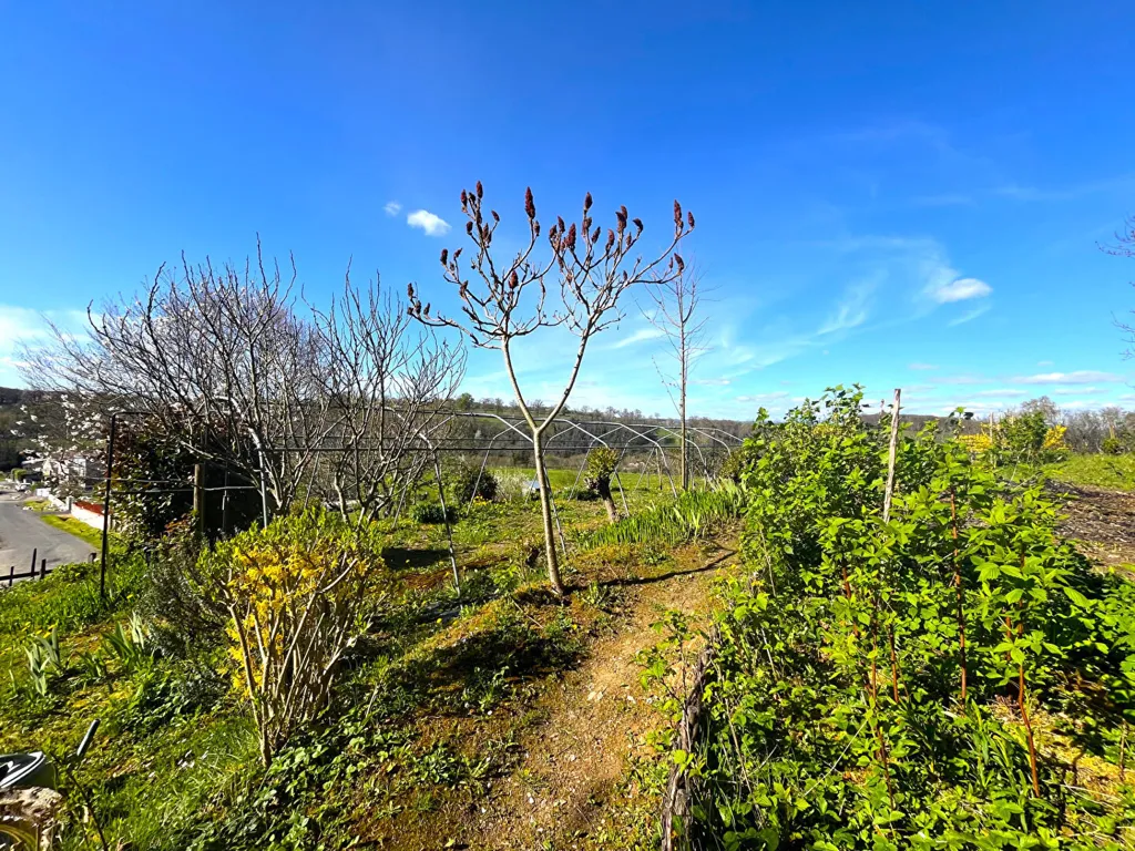 Jardin - Maison avec Jardin et Atelier à Roannes St Mary
