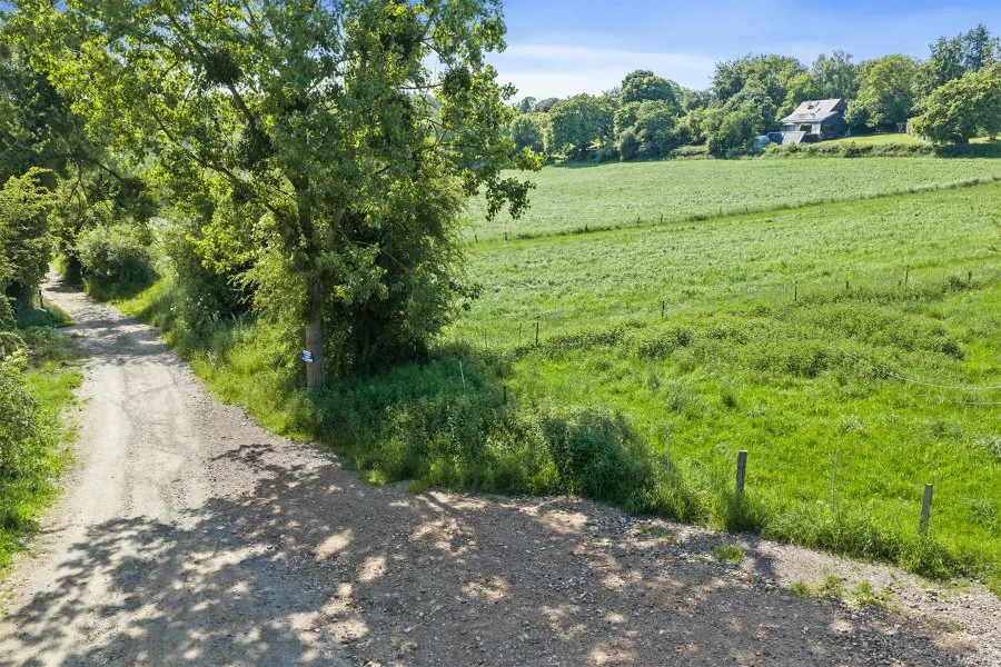 Jardin - Terrain à Bâtir à Neupré