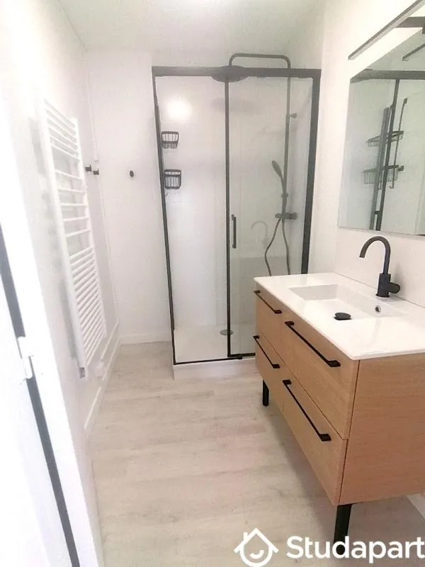 Vannitoad - Shared Flat with Balcony in Angers