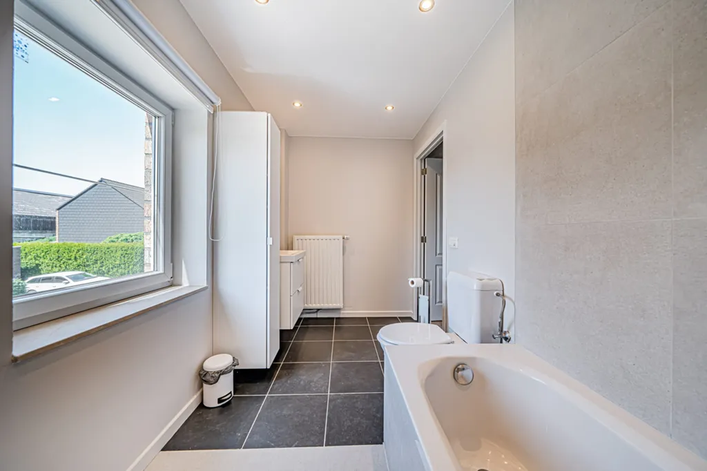 Bagni - House with Pool in Haillot
