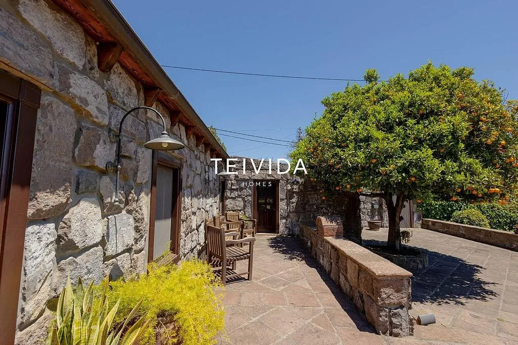 Terrace - Villa with Pool and Bodega in El Rosario