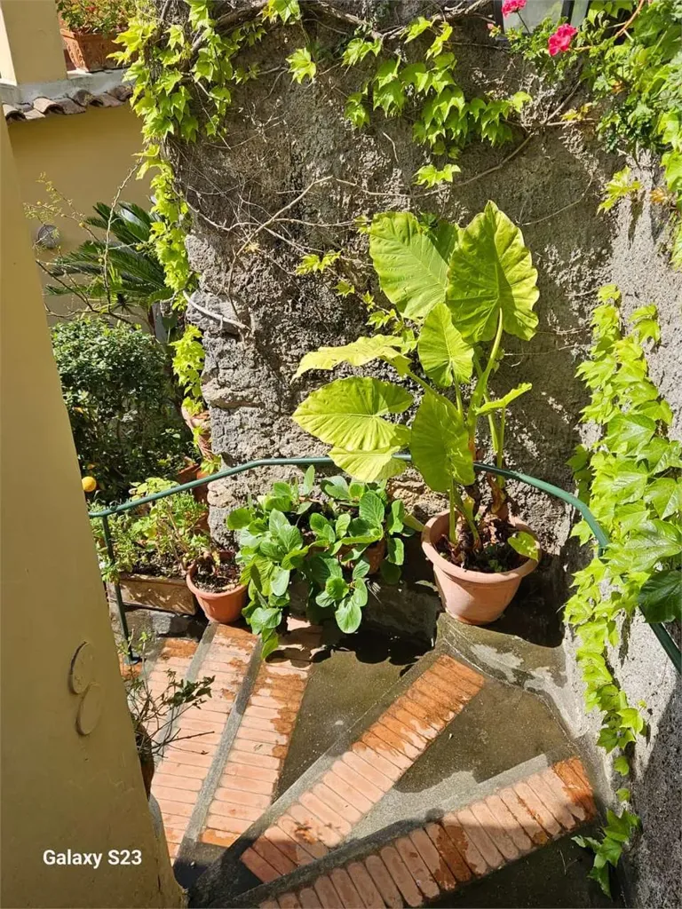 Apartment in Tramonti