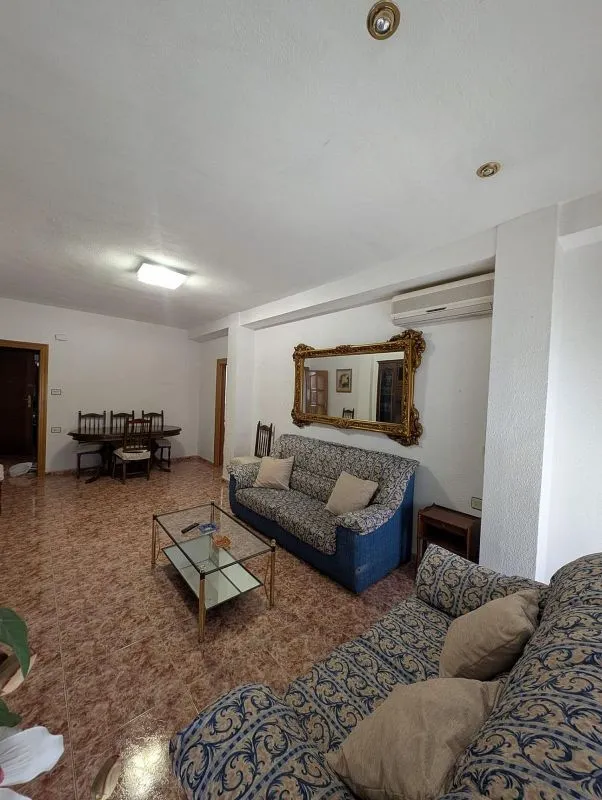 Soggiorno - Apartment with Terrace in Compositor Albéniz